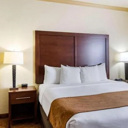 Comfort Suites Near Nasa - Clear Lake-3